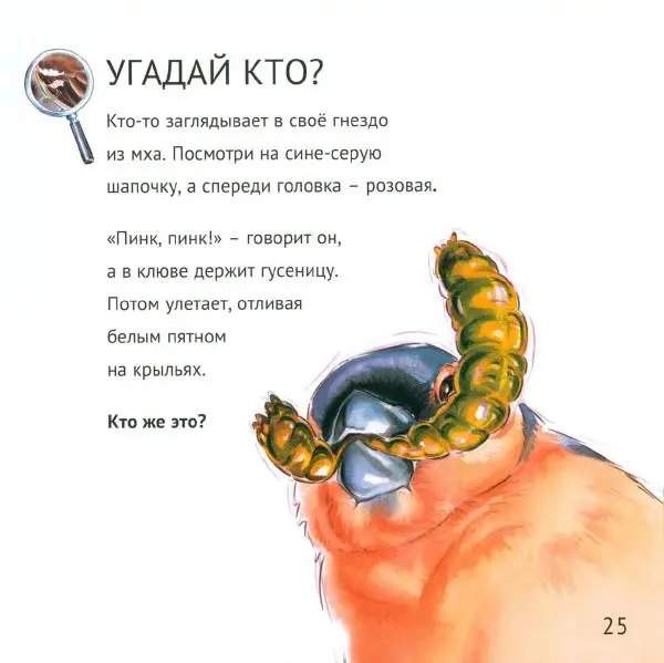 Майк Анвин - Кто живёт у нас на даче. Птицы - Страница № 28