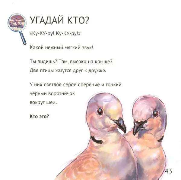 Майк Анвин - Кто живёт у нас на даче. Птицы - Страница № 46