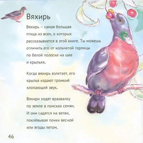 Майк Анвин - Кто живёт у нас на даче. Птицы - Страница № 49