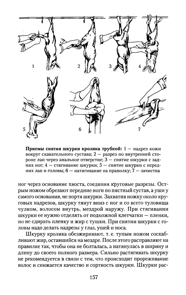 Виктор Горбунов - Кролики. Разведение, содержание , уход - Страница № 158 Виктор Горбунов - Кролики. Разведение, содержание , уход - Страница № 158