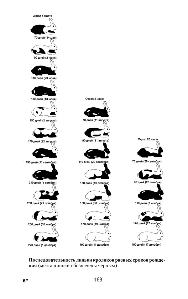 Виктор Горбунов - Кролики. Разведение, содержание , уход - Страница № 164 Виктор Горбунов - Кролики. Разведение, содержание , уход - Страница № 164