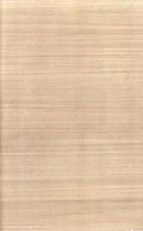 Лев Кассиль - Том 1 - Страница № 681