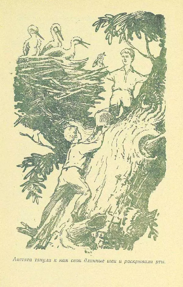 Георгий Скребицкий - Друзья моего детства - Страница № 47