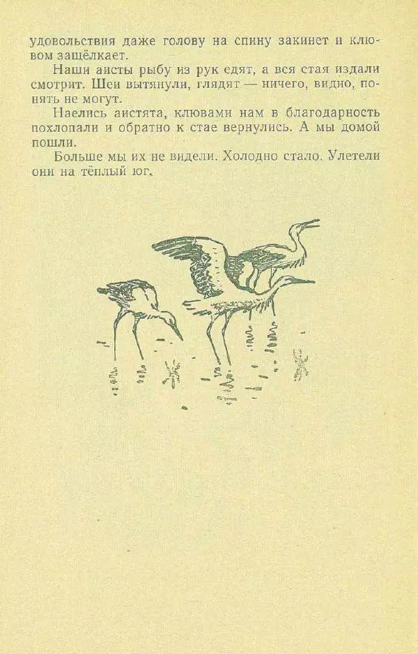 Георгий Скребицкий - Друзья моего детства - Страница № 48