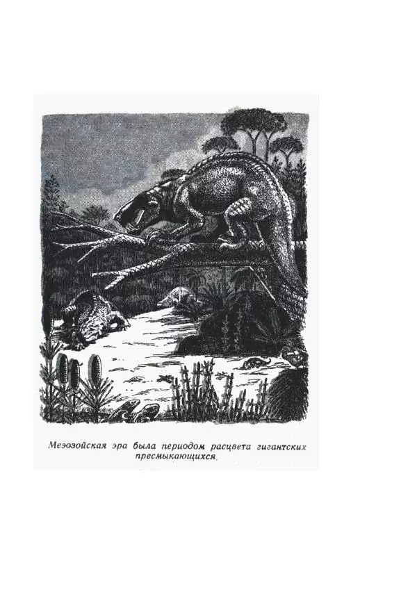 Вадим Охотников - Дороги вглубь - Страница № 23