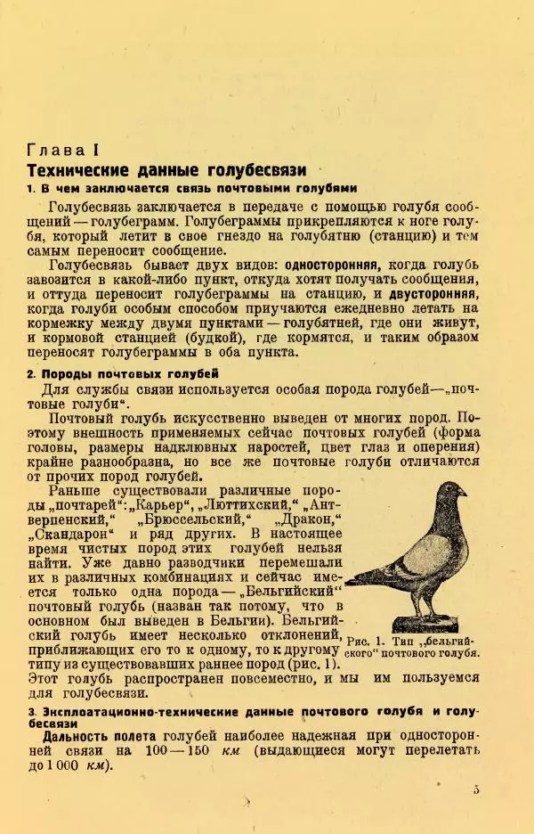 Н. Андреев - Служебное голубеводство - Страница № 9
