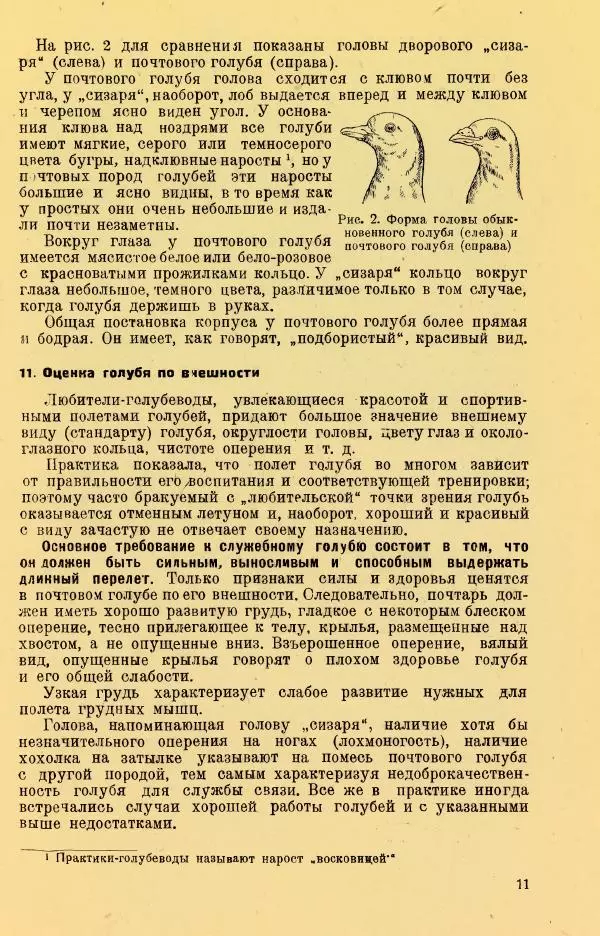 Н. Андреев - Служебное голубеводство - Страница № 15