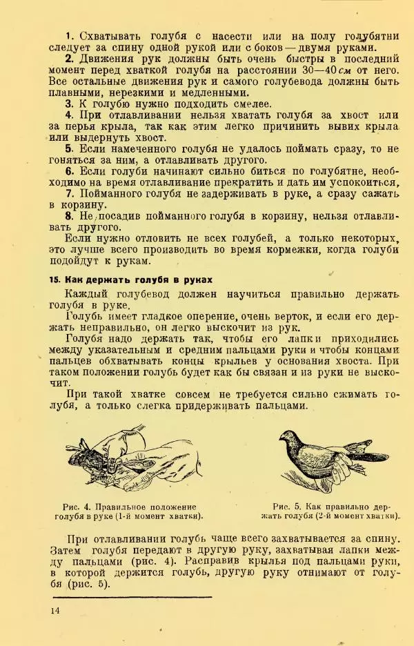 Н. Андреев - Служебное голубеводство - Страница № 18