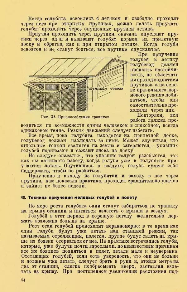 Н. Андреев - Служебное голубеводство - Страница № 58