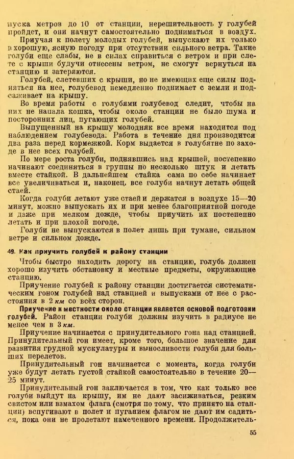 Н. Андреев - Служебное голубеводство - Страница № 59
