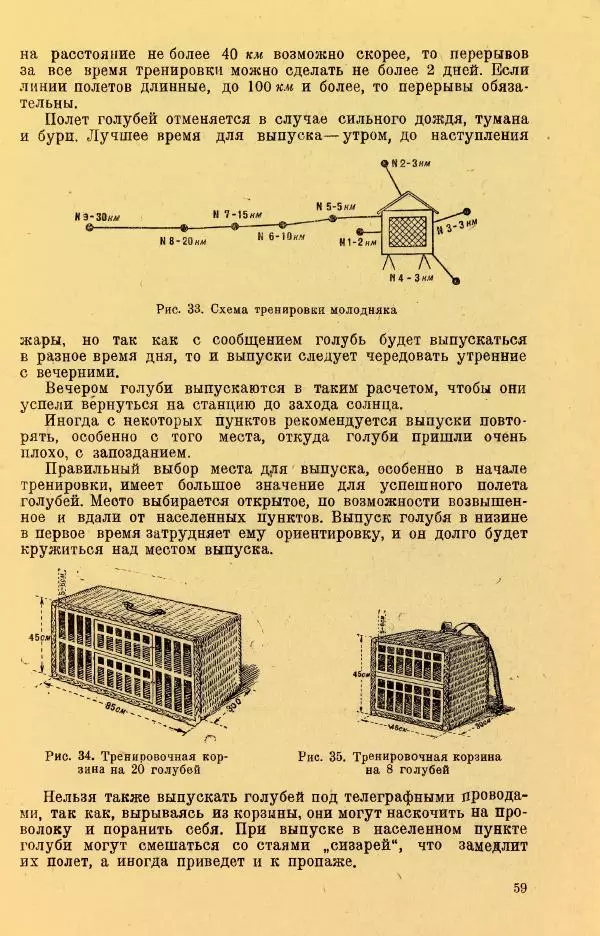 Н. Андреев - Служебное голубеводство - Страница № 63
