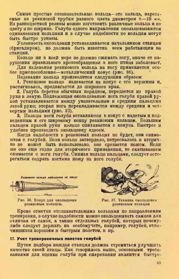 Н. Андреев - Служебное голубеводство - Страница № 67