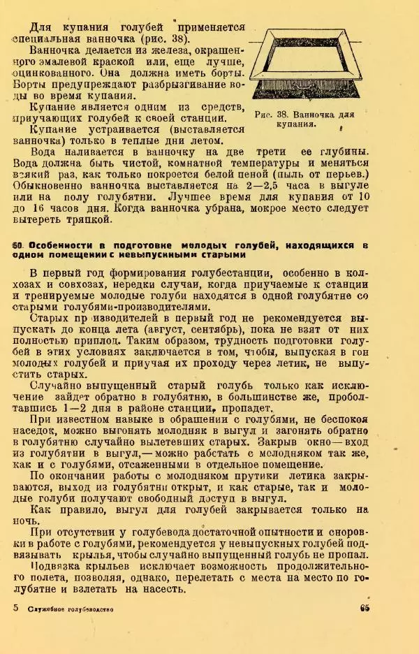 Н. Андреев - Служебное голубеводство - Страница № 69