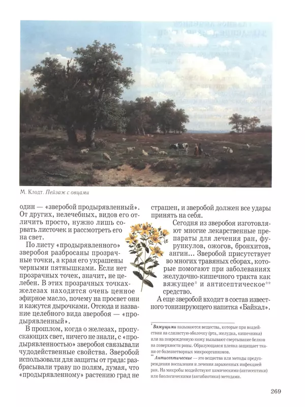  - Русский быт - Страница № 270