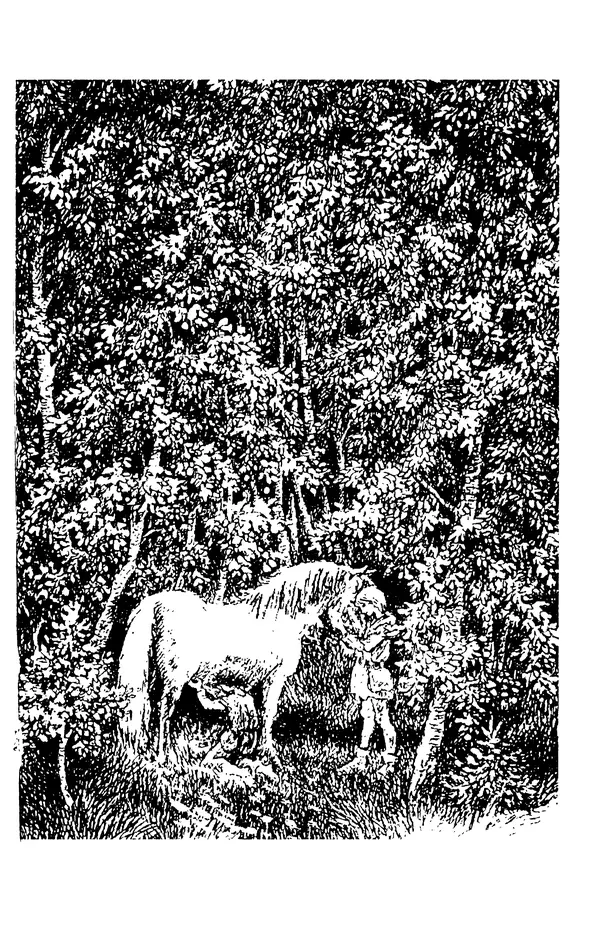 Астрид Линдгрен - Том 4. Братья Львиное Сердце. Ронья, дочь разбойника. Мио, мой Мио! - Страница № 467