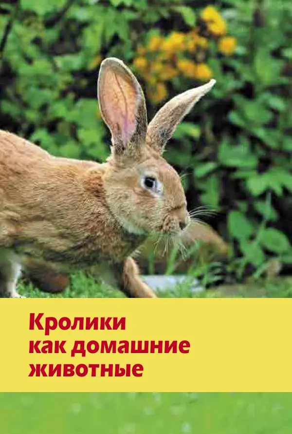 Алиса Штерн-Лес Ландес - Кролики. Справочник-пособие по разведению и выращиванию - Страница № 15