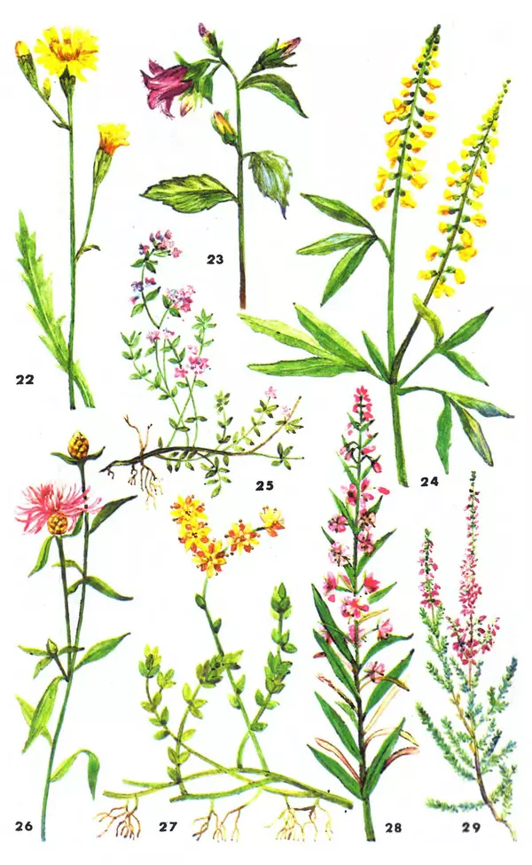 Михаил Шеметков - Советы пчеловоду. — 2-е изд., перераб. и доп. - Страница № 263