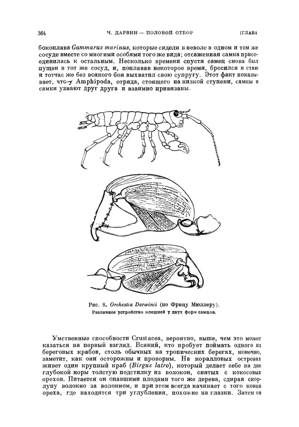 Чарльз Дарвин - Собрание сочинений в 9 томах. Том 5. Происхождение человека и половой отбор. Выражение эмоций у человека и животных<!--p--><!--p--><!--p--><!--p--><!--p--><!--p--><!--p--><!--p--><!--p--><!--p--><!--p--><!--p--><!--p--><!--p--><!--p--><!--p--><!--p--><!--p--><!--p--><!--p--><!--p--><!--p--><!--p--><!--p--><!--p--><!--p--><!--p--><!--p--><!--p--><!--p--><!--p--><!--p--><!--p--><!--p--><!--p--><!--p--><!--p--><!--p--><!--p--><!--p--><!--p--><!--p--><!--p--><!--p--><!--p--><!--p--><!--p--><!--p--><!--p--><!--p--><!--p--><!--p--><!--p--><!--p--><!--p--><!--p--><!--p--><!--p--><!--p--><!--p--><!--p--><!--p--><!--p--><!--p--><!--p--><!--p--><!--p--><!--p--><!--p--><!--p--><!--p--><!--p--><!--p--><!--p--><!--p--><!--p--><!--p--><!--p--><!--p--><!--p--><!--p--><!--p--><!--p--><!--p--><!--p--><!--p--><!--p--><!--p--><!--p--><!--p--><!--p--><!--p--><!--p--><!--p--><!--p--><!--p--><!--p--><!--p--><!--p--><!--p--><!--p--><!--p--><!--p--><!--p--><!--p--><!--p--><!--p--><!--p--><!--p--><!--p--><!--p--><!--p--><!--p--><!--p--><!--p--><!--p--><!--p--><!--p--><!--p--><!--p-->- Страница № 363