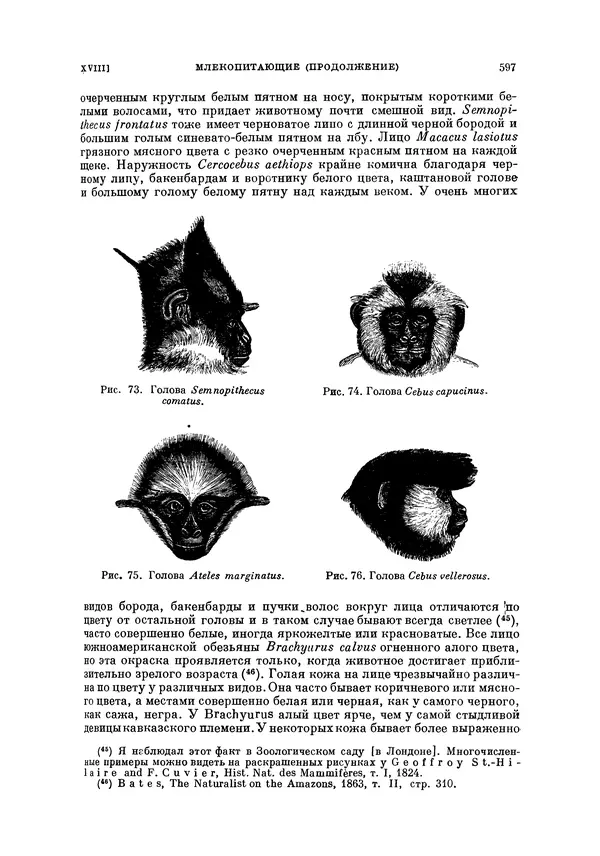 Чарльз Дарвин - Собрание сочинений в 9 томах. Том 5. Происхождение человека и половой отбор. Выражение эмоций у человека и животных - Страница № 597