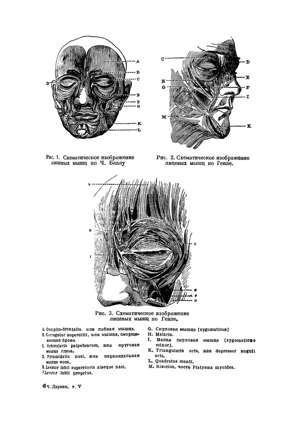 Чарльз Дарвин - Собрание сочинений в 9 томах. Том 5. Происхождение человека и половой отбор. Выражение эмоций у человека и животных - Страница № 701