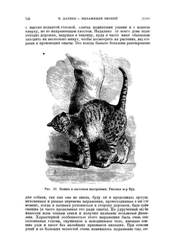 Чарльз Дарвин - Собрание сочинений в 9 томах. Том 5. Происхождение человека и половой отбор. Выражение эмоций у человека и животных - Страница № 724