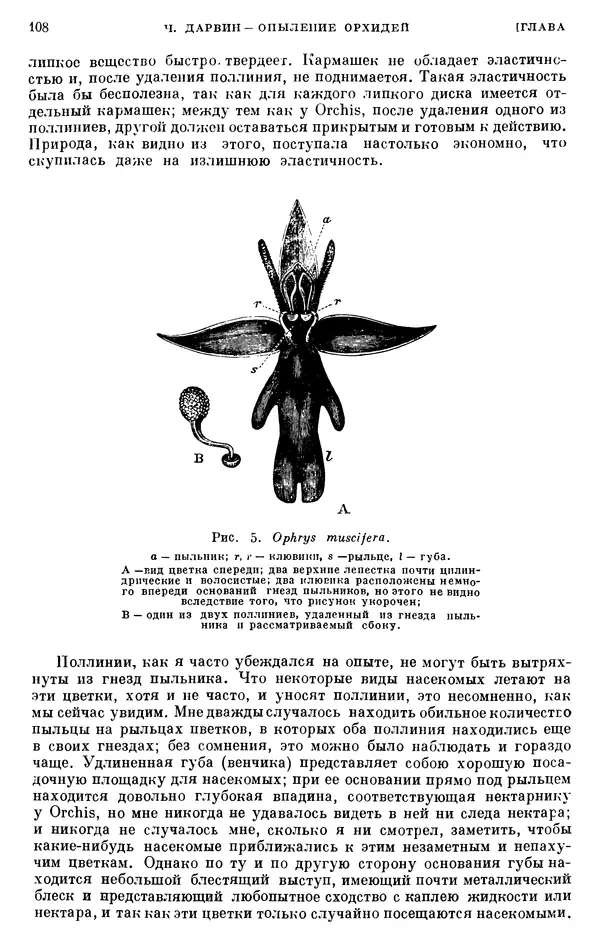Чарльз Дарвин - Собрание сочинений в 9 томах. Том 6. Опыление орхидей насекомыми. Перекрестное опыление и самоопыление - Страница № 107