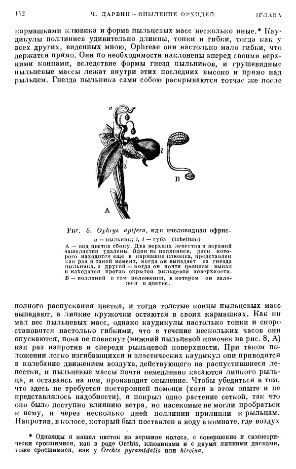 Чарльз Дарвин - Собрание сочинений в 9 томах. Том 6. Опыление орхидей насекомыми. Перекрестное опыление и самоопыление - Страница № 111
