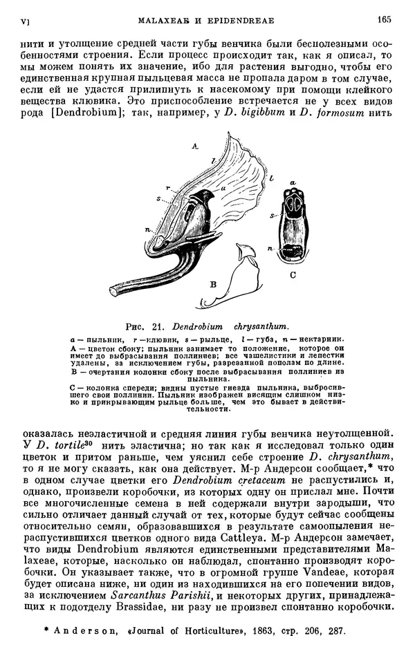 Чарльз Дарвин - Собрание сочинений в 9 томах. Том 6. Опыление орхидей насекомыми. Перекрестное опыление и самоопыление - Страница № 164