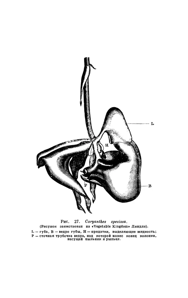 Чарльз Дарвин - Собрание сочинений в 9 томах. Том 6. Опыление орхидей насекомыми. Перекрестное опыление и самоопыление - Страница № 186