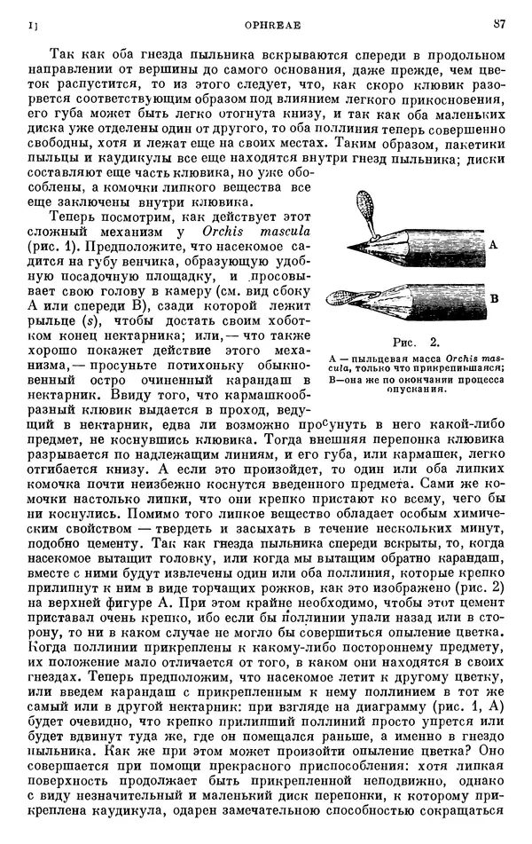 Чарльз Дарвин - Собрание сочинений в 9 томах. Том 6. Опыление орхидей насекомыми. Перекрестное опыление и самоопыление - Страница № 86