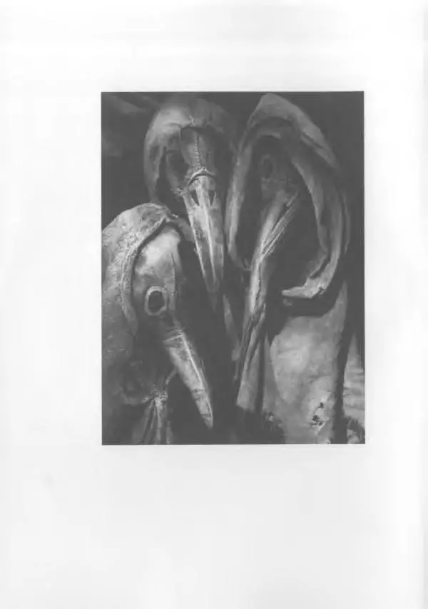 Михаил Супотницкий - COVID-19: трудный экзамен для человечества - Страница № 2