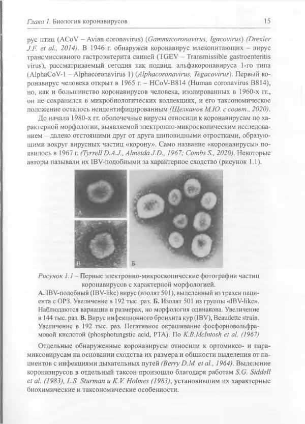 Михаил Супотницкий - COVID-19: трудный экзамен для человечества - Страница № 15