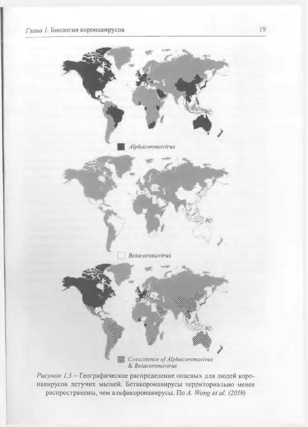 Михаил Супотницкий - COVID-19: трудный экзамен для человечества - Страница № 19