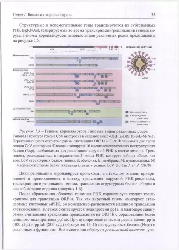 Михаил Супотницкий - COVID-19: трудный экзамен для человечества - Страница № 33