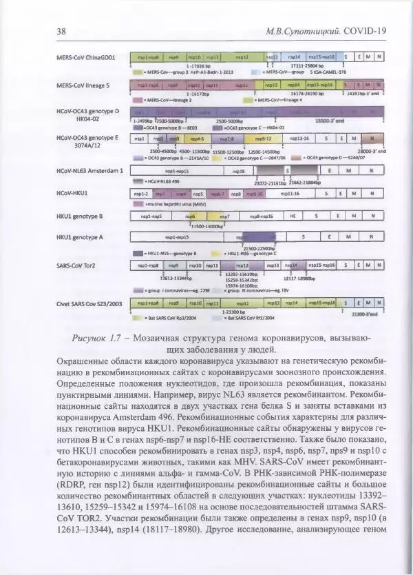 Михаил Супотницкий - COVID-19: трудный экзамен для человечества - Страница № 38