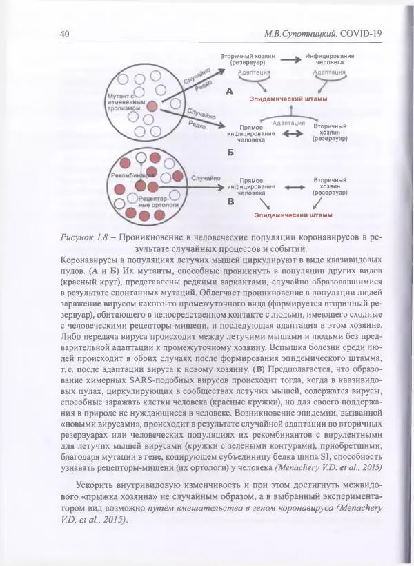 Михаил Супотницкий - COVID-19: трудный экзамен для человечества - Страница № 40