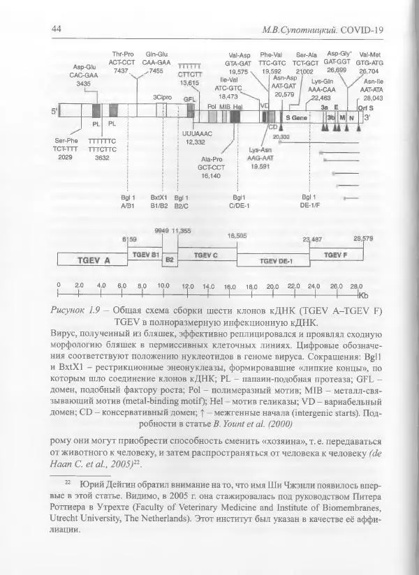 Михаил Супотницкий - COVID-19: трудный экзамен для человечества - Страница № 44