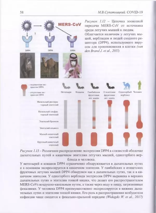 Михаил Супотницкий - COVID-19: трудный экзамен для человечества - Страница № 58