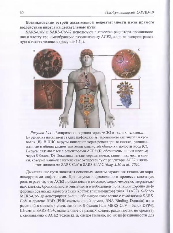 Михаил Супотницкий - COVID-19: трудный экзамен для человечества - Страница № 60