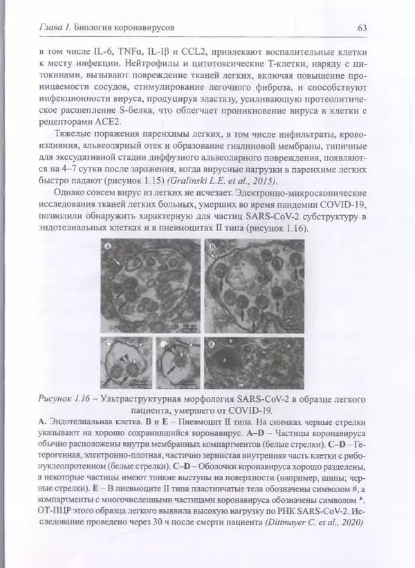 Михаил Супотницкий - COVID-19: трудный экзамен для человечества - Страница № 63