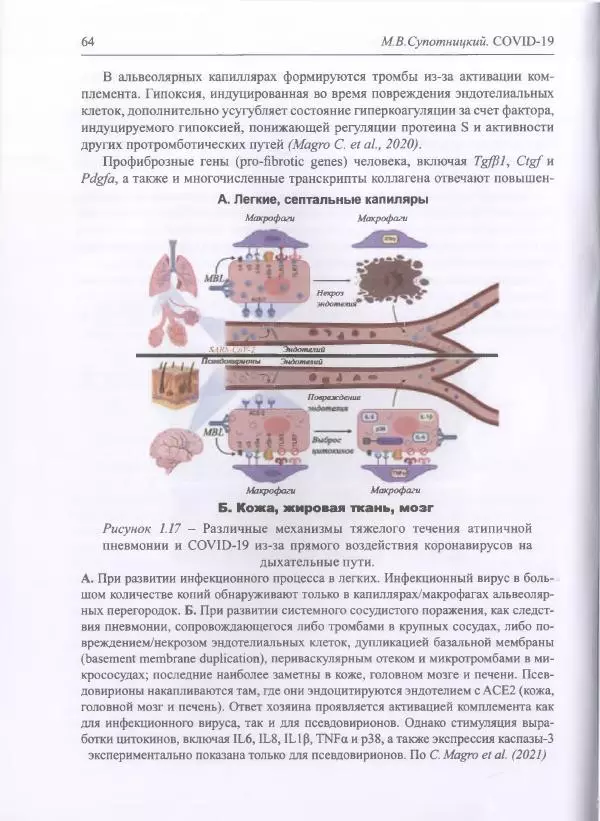 Михаил Супотницкий - COVID-19: трудный экзамен для человечества - Страница № 64