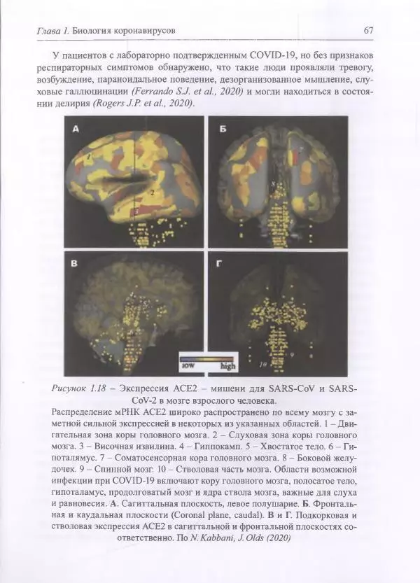Михаил Супотницкий - COVID-19: трудный экзамен для человечества - Страница № 67