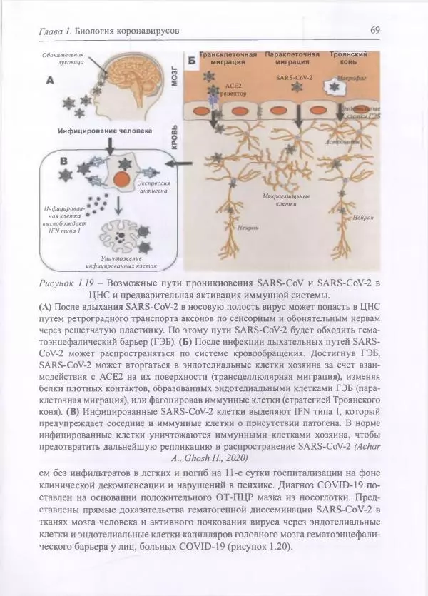 Михаил Супотницкий - COVID-19: трудный экзамен для человечества - Страница № 69