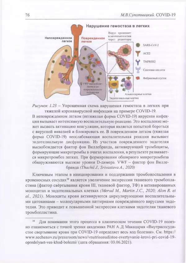 Михаил Супотницкий - COVID-19: трудный экзамен для человечества - Страница № 76
