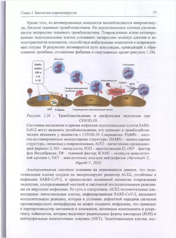 Михаил Супотницкий - COVID-19: трудный экзамен для человечества - Страница № 77