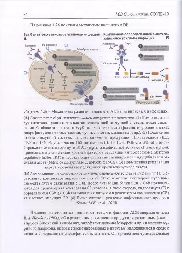 Михаил Супотницкий - COVID-19: трудный экзамен для человечества - Страница № 84