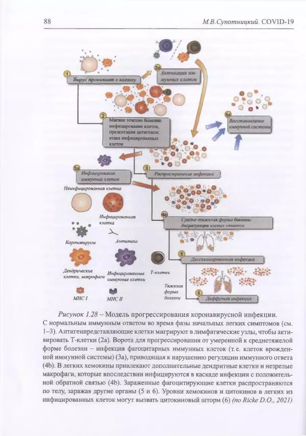 Михаил Супотницкий - COVID-19: трудный экзамен для человечества - Страница № 88