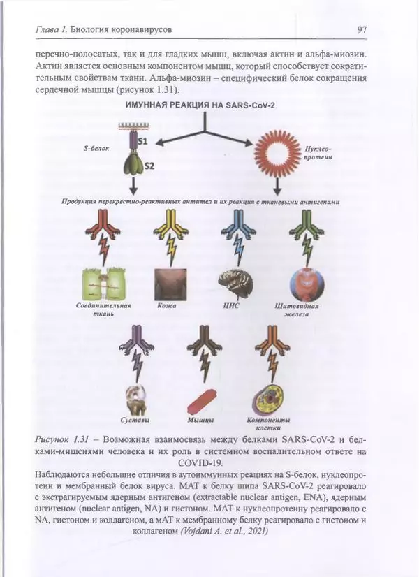 Михаил Супотницкий - COVID-19: трудный экзамен для человечества - Страница № 97