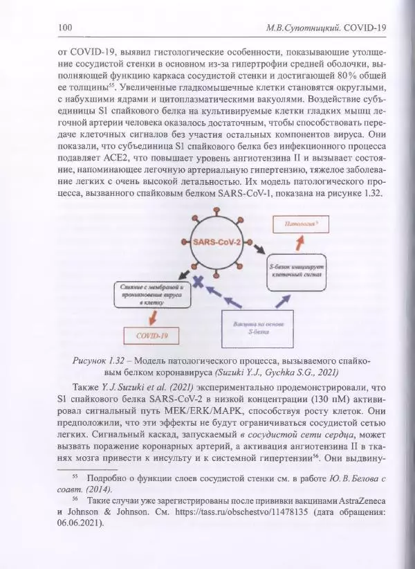 Михаил Супотницкий - COVID-19: трудный экзамен для человечества - Страница № 100