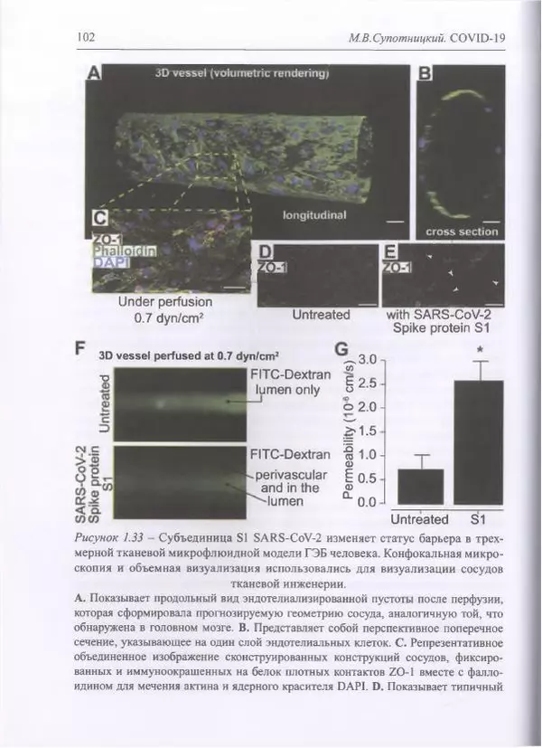 Михаил Супотницкий - COVID-19: трудный экзамен для человечества - Страница № 102